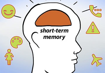انواع حافظه فعال و اجزای آن چیست؟