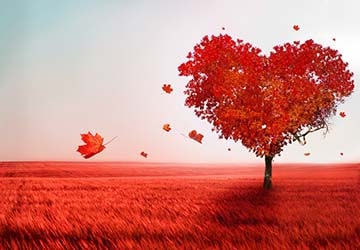 oldimages/postsimages/post0071/love_thumb.jpg