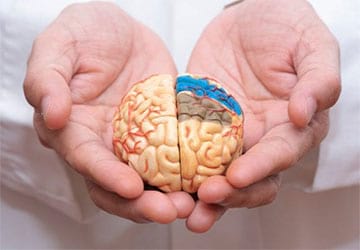 بیماری پریون یک بیماری نادر و کشنده عصبی