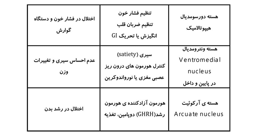 هسته هیپوتالاموس