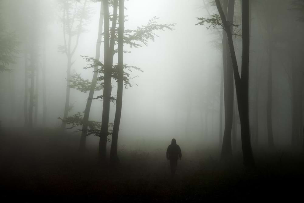 آنهدونیا