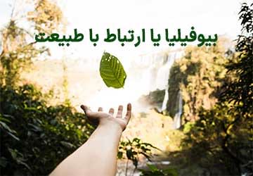 بیوفیلیا یا ارتباط با طبیعت و نقش آن در آرامش درون