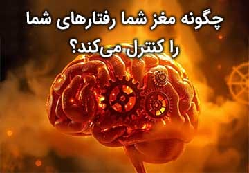 چگونه مغز شما رفتارهای شما را کنترل میکند؟
