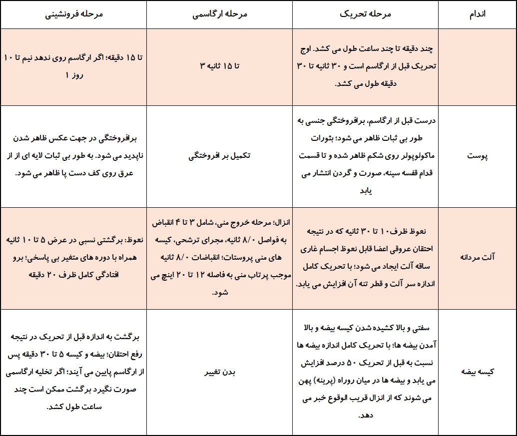 چرخه جنسی در مردان
